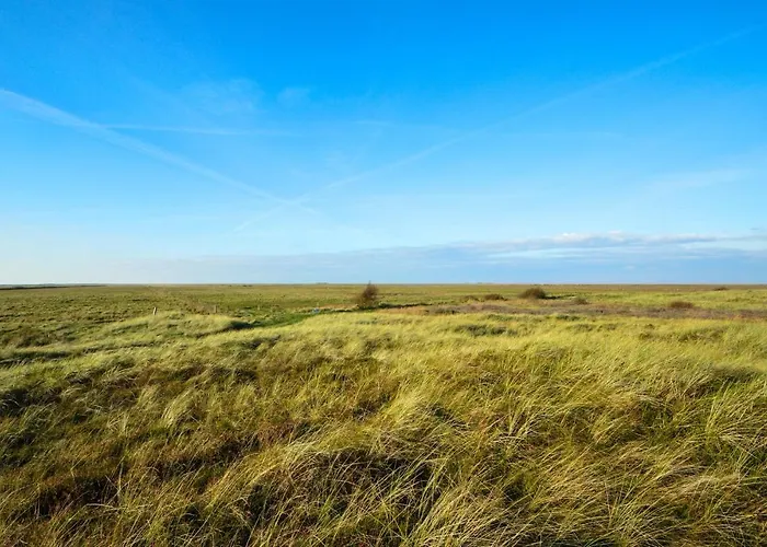 Feriehus Vestermarksvej Xi *